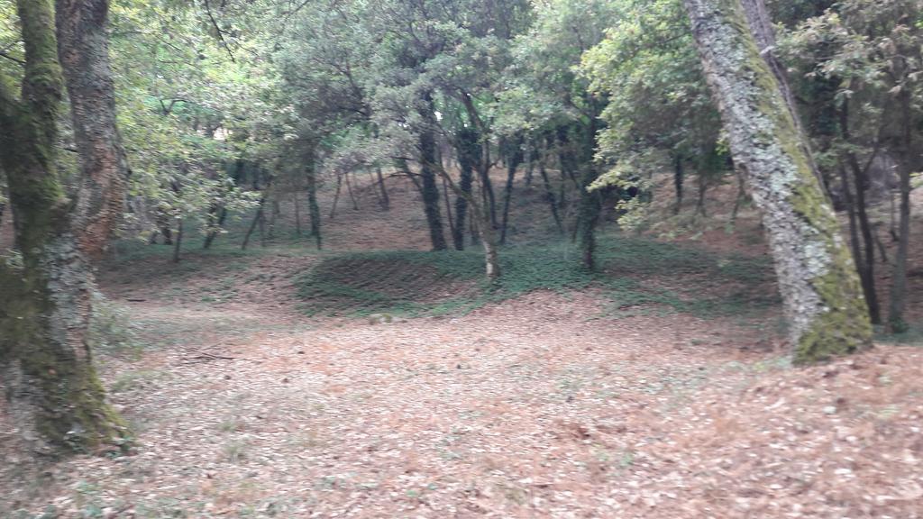 Quinta Vale Do Nox Villa Serrazes Exteriör bild